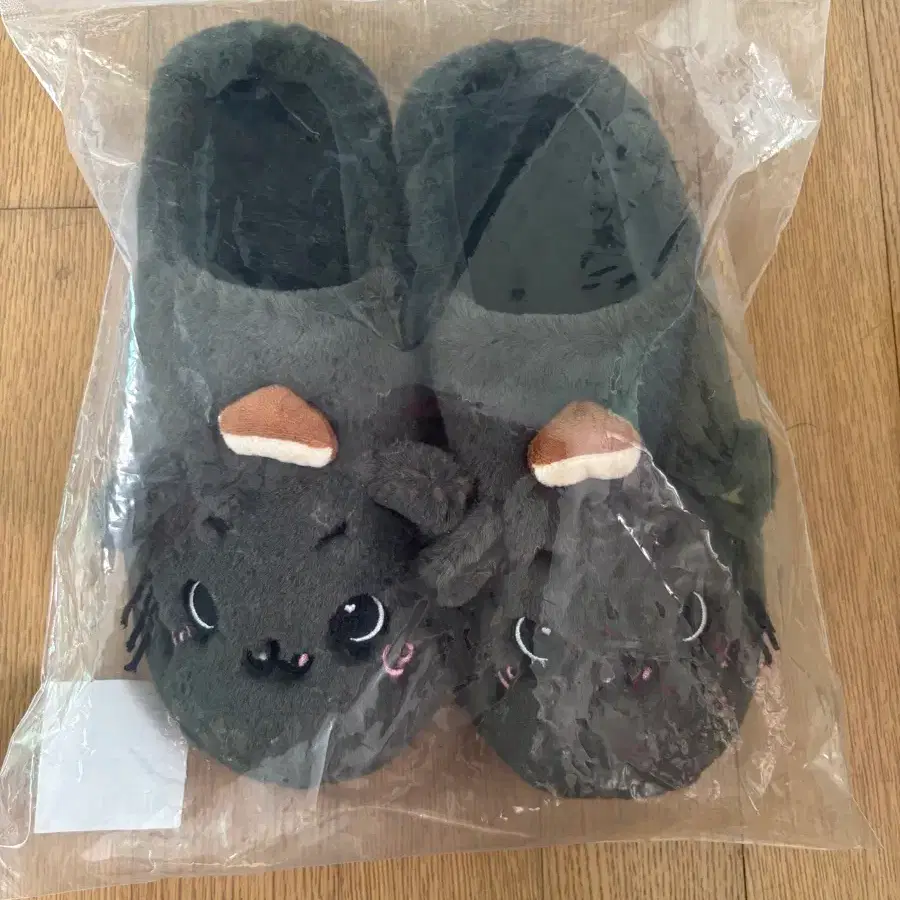 엔시티위시 리쿠 쿠리 룸슈즈