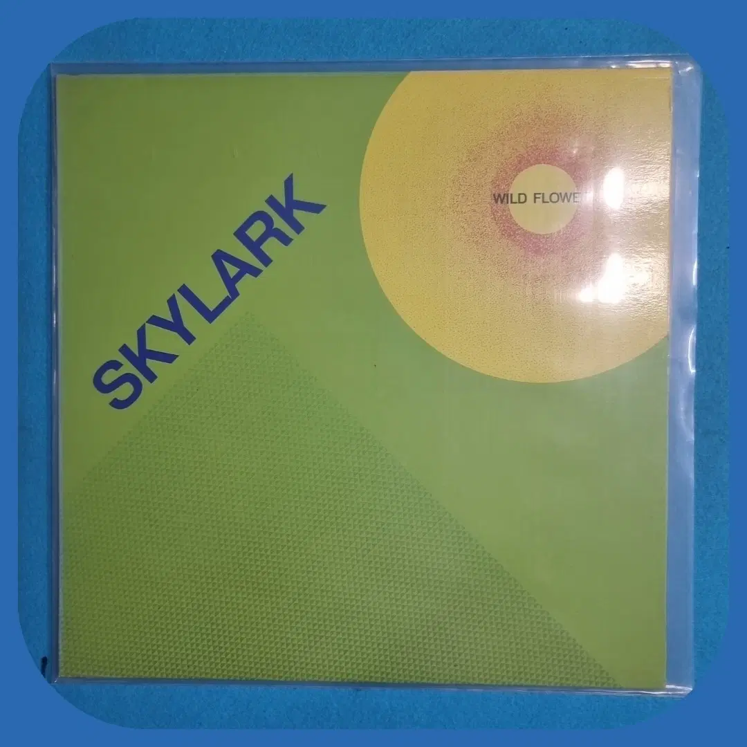 스카이 락LP M/M