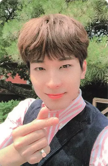 세븐틴 더 포엣 원우 안 오드 브라운