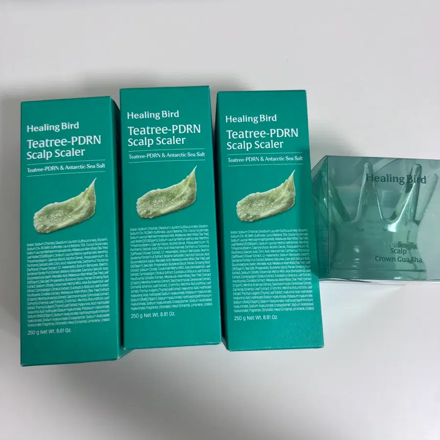 (미개봉)힐링버드 티트리 피디알엔 두피 스케일러