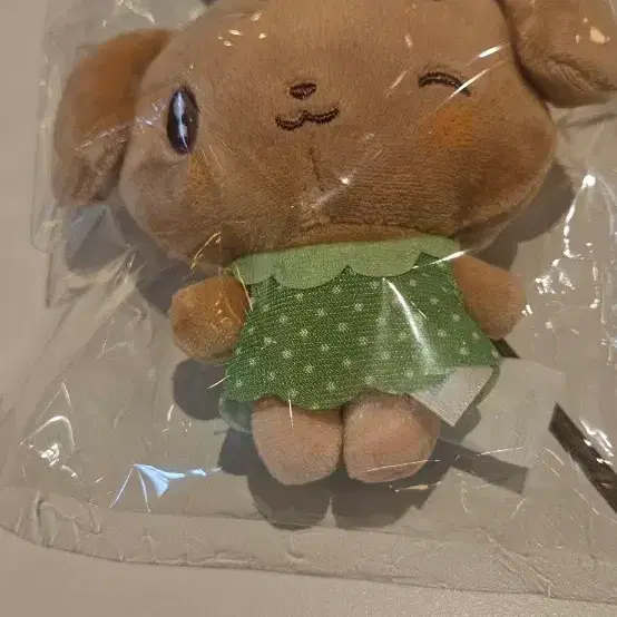 태닝미니브 강안지 팔아요!!