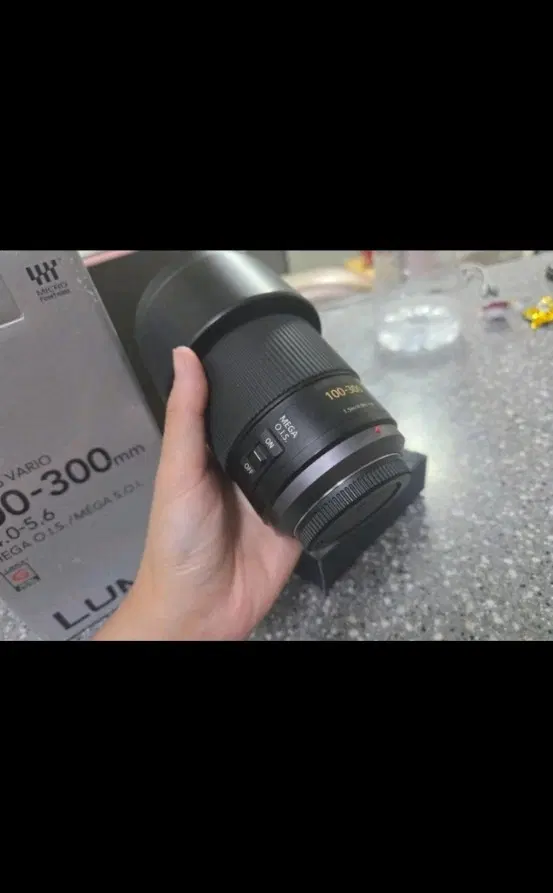 파나소닉 100-300mm렌즈