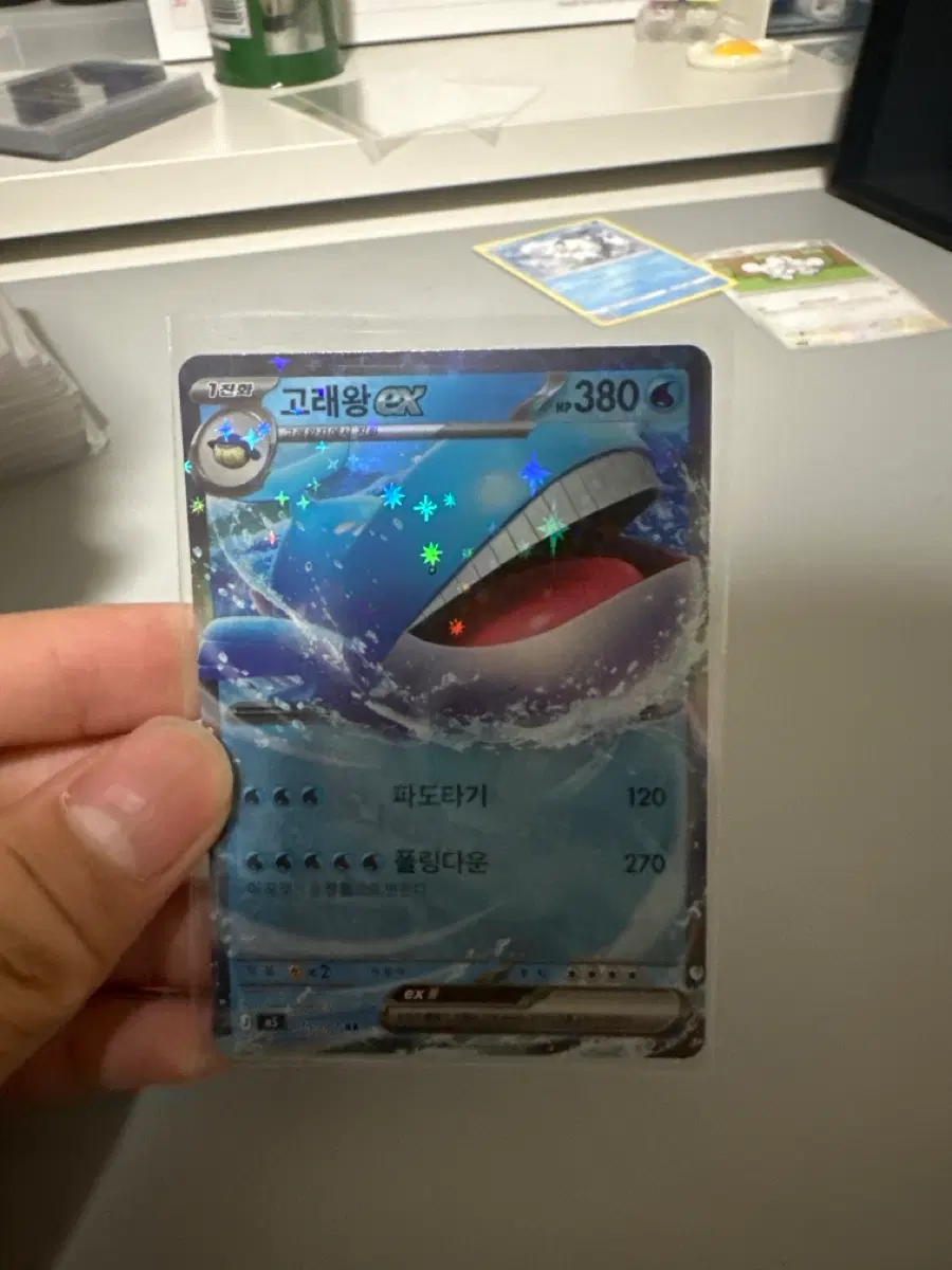 고래왕 ex rr