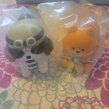 화난 커다란 원피스 강아지 ONE PIECE 콜라보