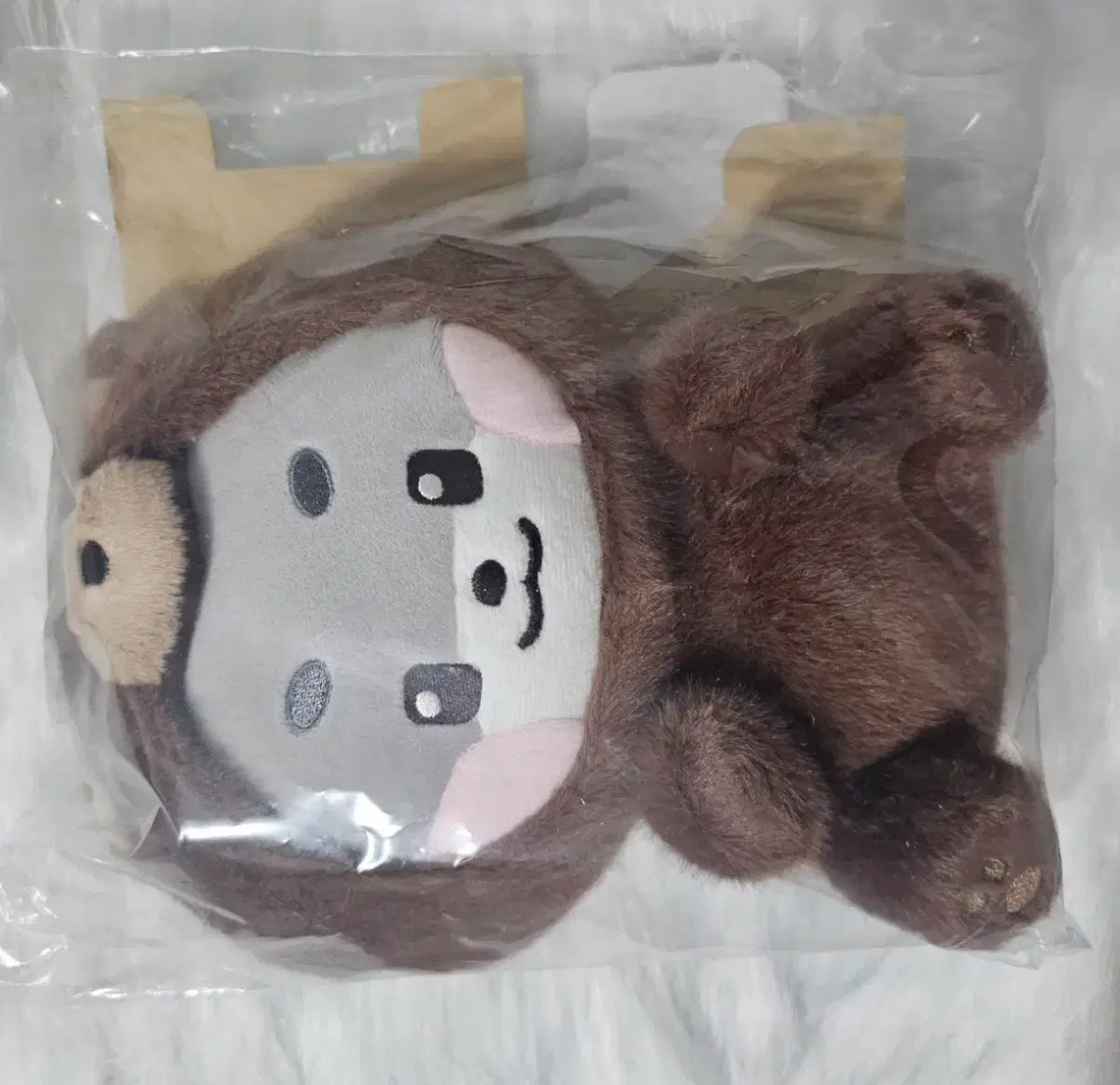 제로베이스원 박건욱 중형 거니니 곰니니