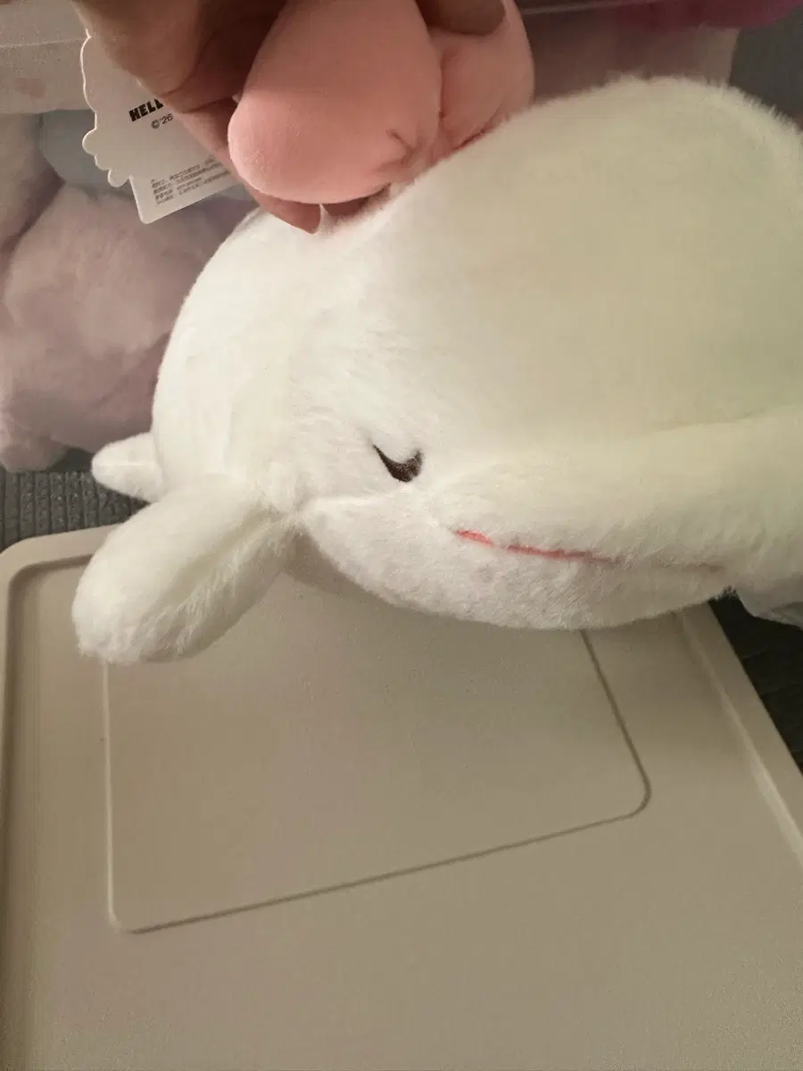 돌고래 인형 화이트 핑크