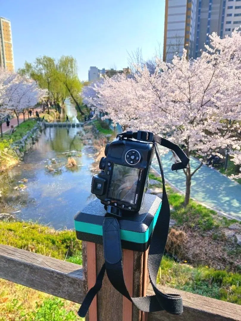 올림푸스 카메라 sp 570uz