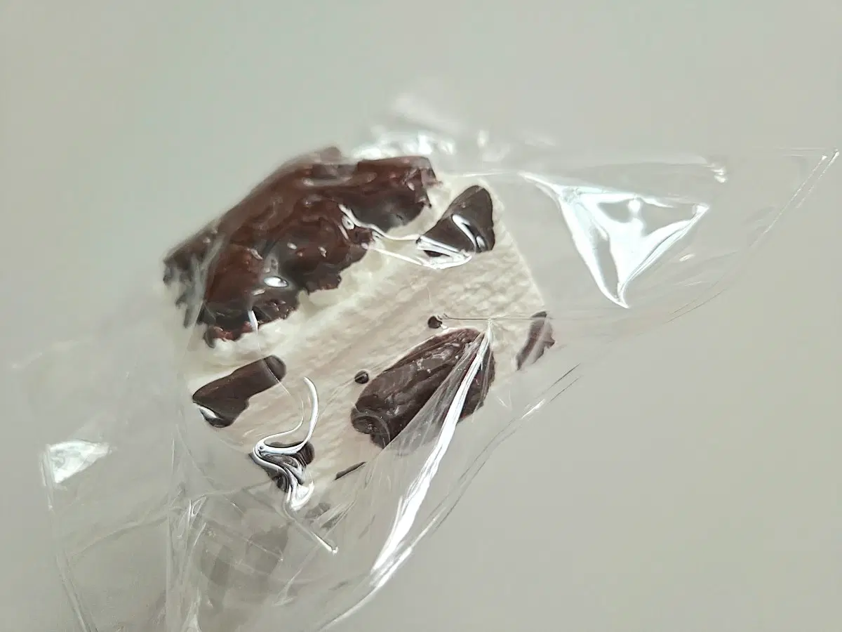 teddy bear 테디베어 신상 초코 팝콘 오리