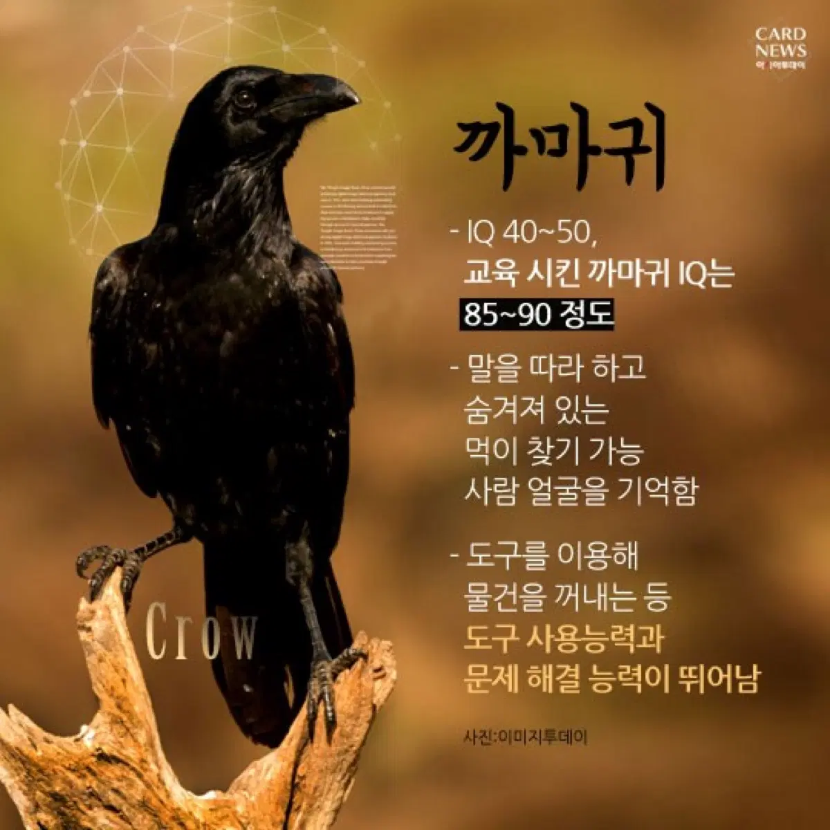 2027 시대인재 재수종합 영어 전국서바이벌 전회차