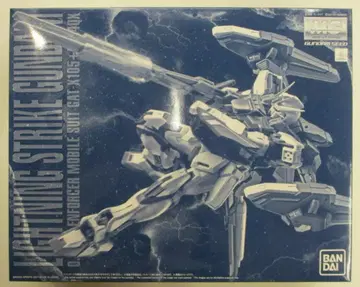 BANDAI SPIRITS MG 1/100 기동전사 건담 SEED MSV 라이트닝 스트라이크 건담 Ver.RM