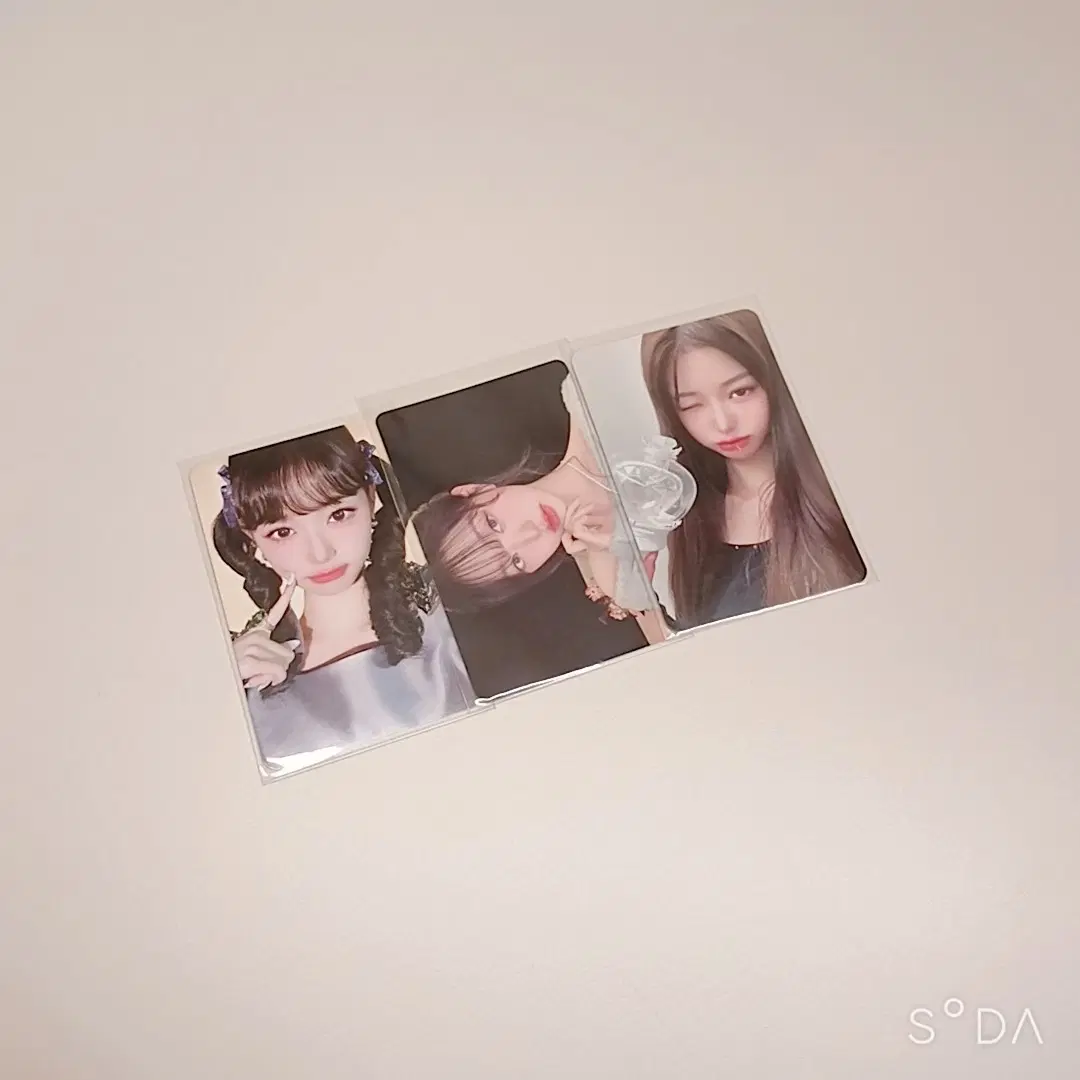 워녕이 포토카드 세트