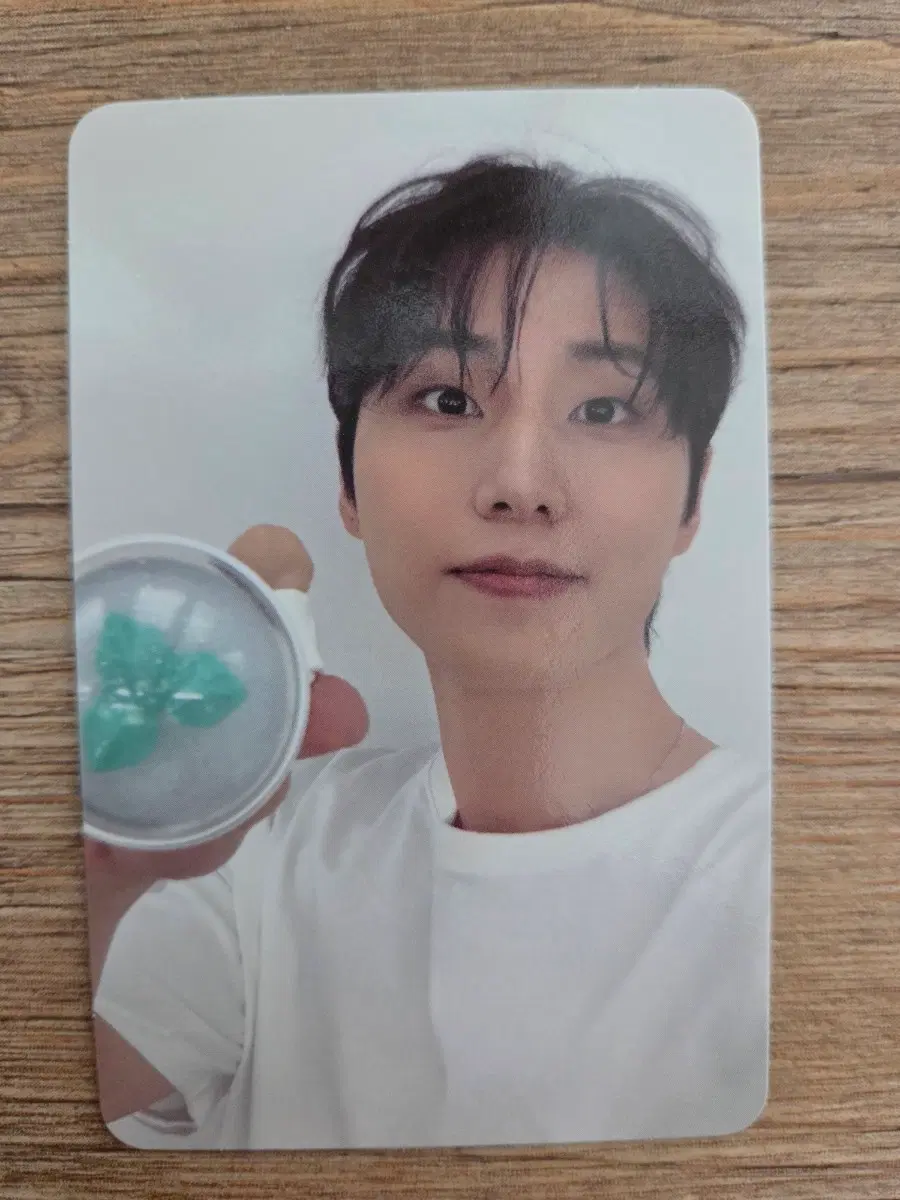 데이식스 데케이드 앙콘 영케이 포카