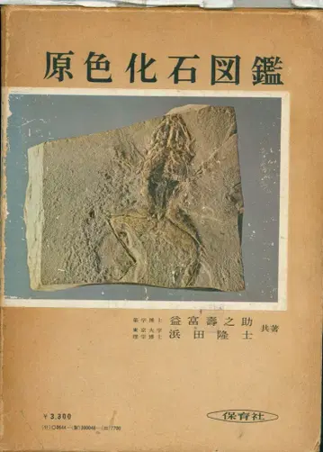 원색 화석 도감 48
