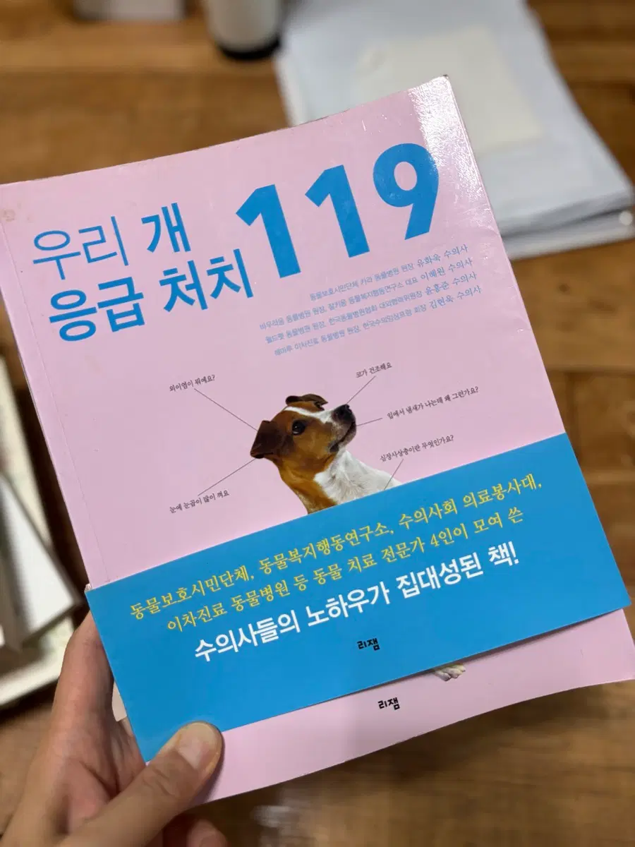 우리 개 응급처치 119