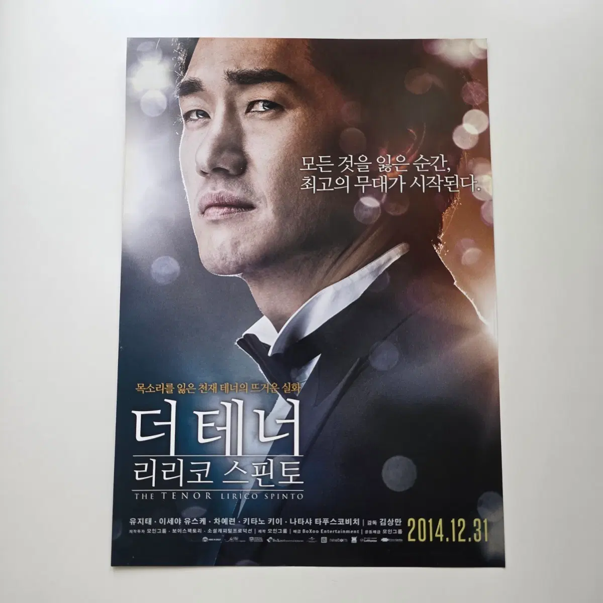 [전단지] 더 테너 리리코 스핀토 2014 유지태