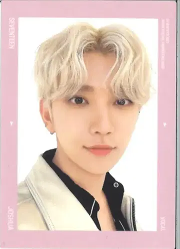 SEVENTEEN 2021 HARE JOSHUA 트레이딩 카드 0133