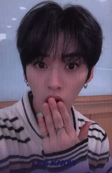 StrayKids CLE:LEVANTER LeeKnow 트레이딩 카드 이름