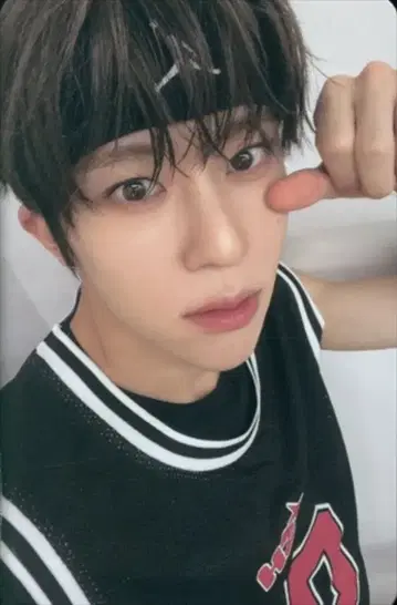 NCT WISH QR ver. SION Steady