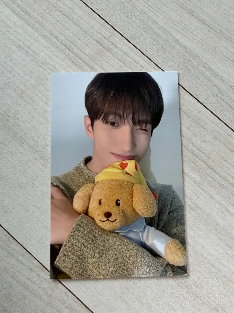 세븐틴 도겸 아티스트 메이드 인형 포카