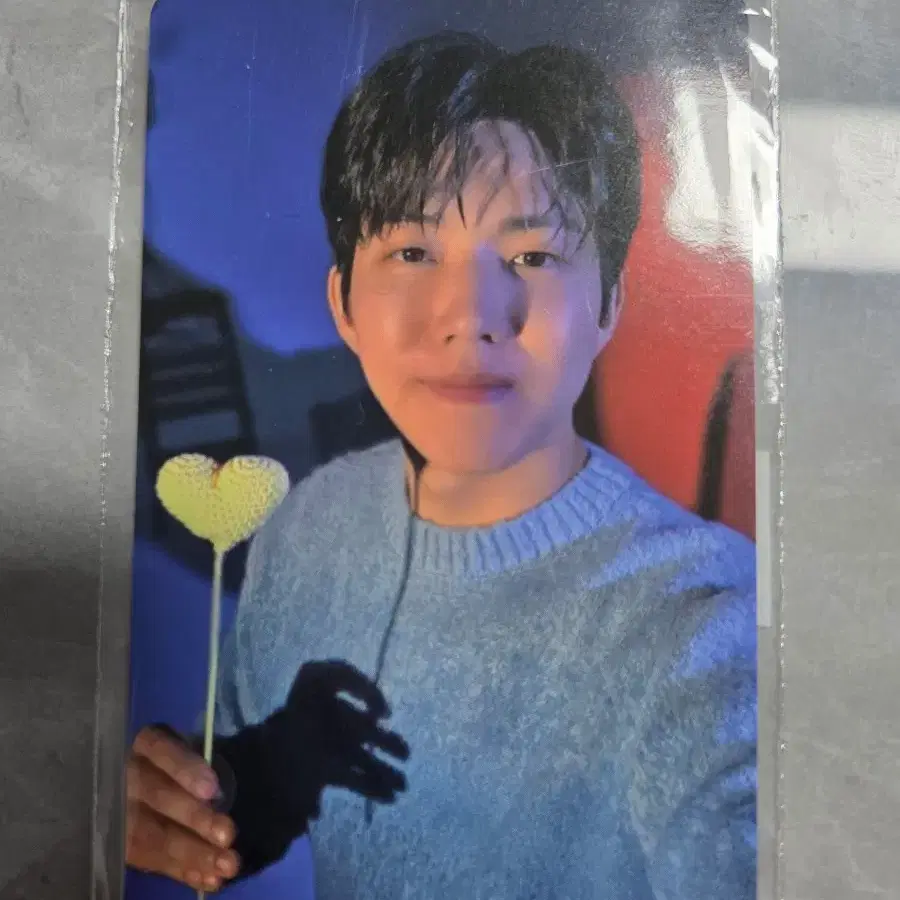 데이식스도운포토카드