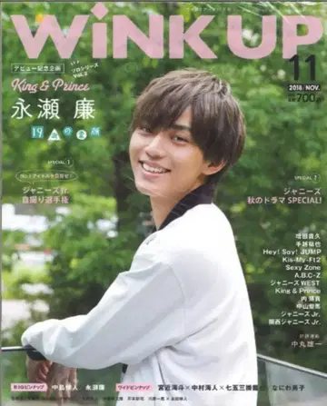 Wink up 18년 11월호