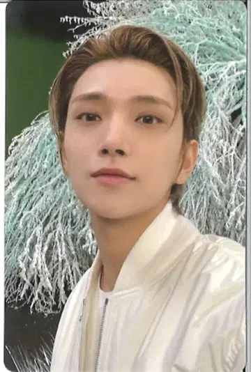세븐틴 섹터 17 조슈아 트레이딩 카드