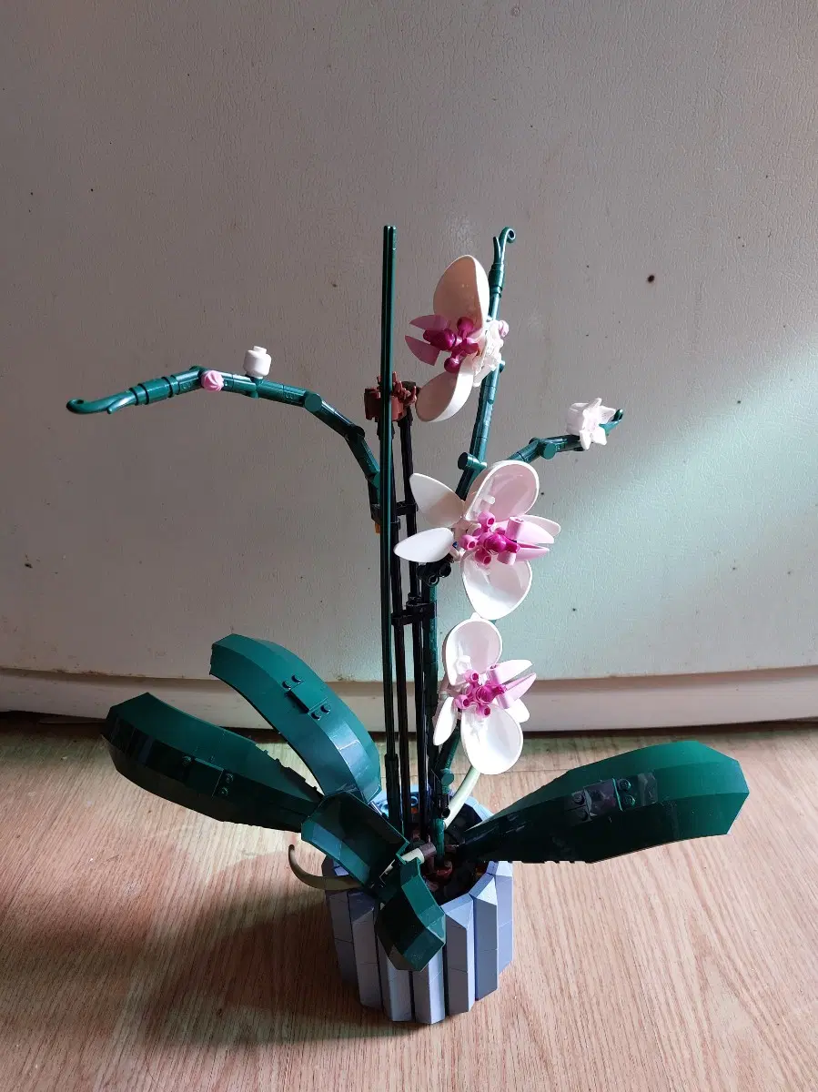 레고 보태니컬 컬렉션 난초 10311