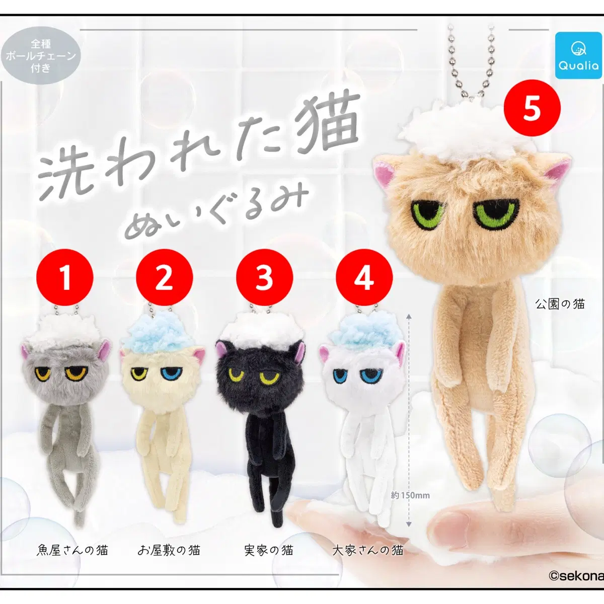목욕 당한 고양이 가챠 회색냥이 구해요