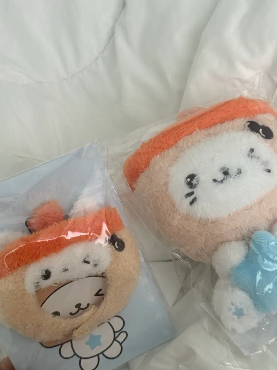 위시돌모자+스타위시돌 버블냥