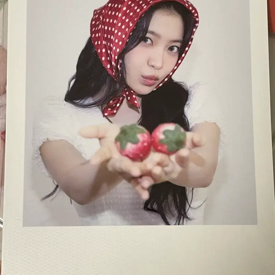 레드벨벳 예리 2026시즌그리팅 폴라