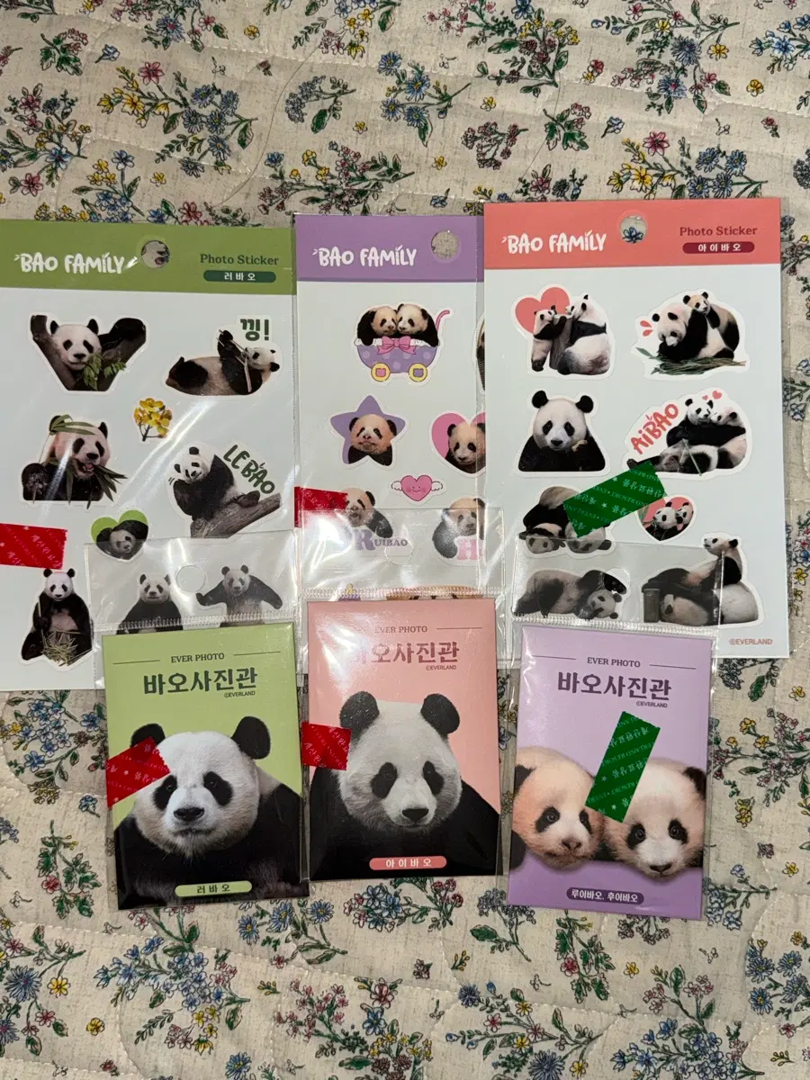 에버랜드 바오패밀리 굿즈