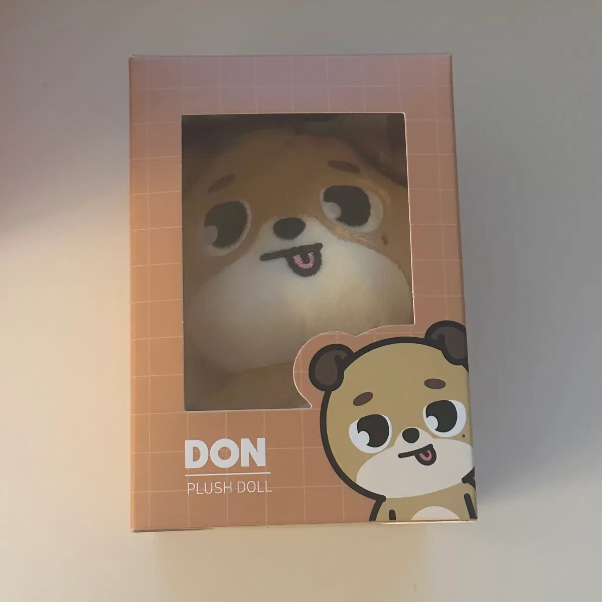 데이식스 도운 메롱돈