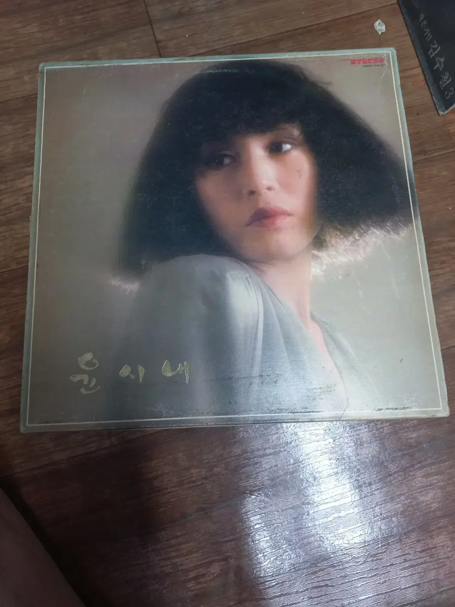 윤시내 lp