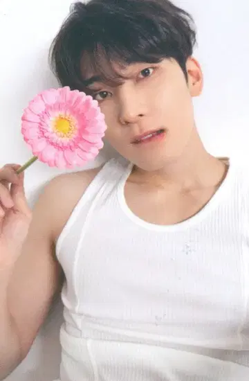 SEVENTEEN 17 IS RIGHT HERE 원우 트레이딩 카드 DEAR