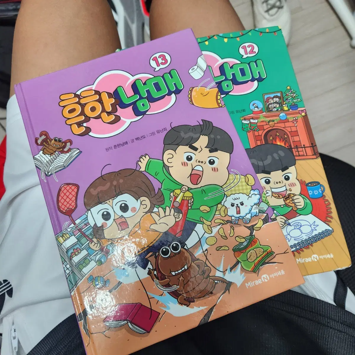 흔한남매 12 13권
