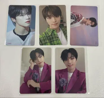 세븐틴 디노 떨어지는 꽃잎 HMV 트레이딩 카드 5장