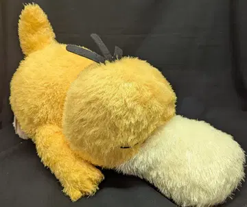 BANDAI SPIRITS 메챠모후굿토 쿠츠로기 타임 봉제 인형 포켓몬스터 코닥