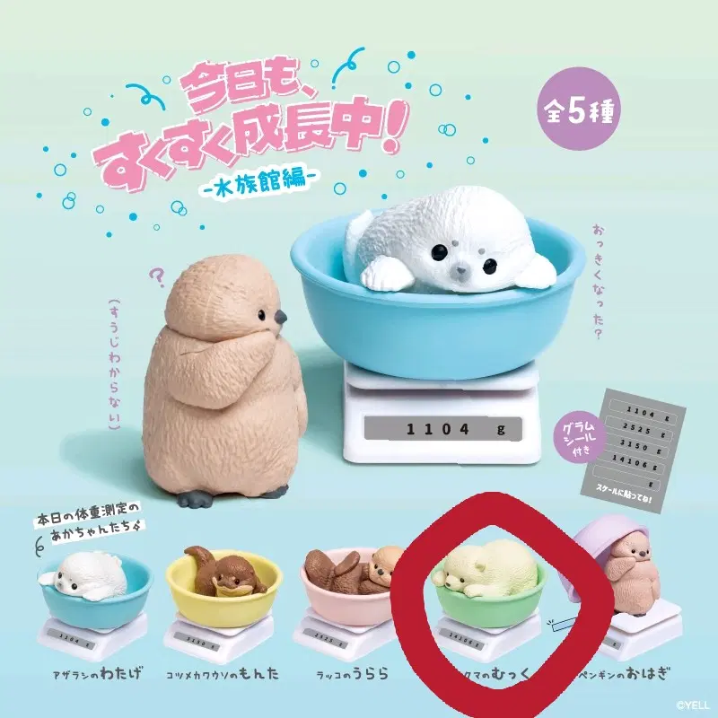 오늘도 성장중 아기 동물 몸무게 피규어 북극곰 아기곰 가챠 뽑기