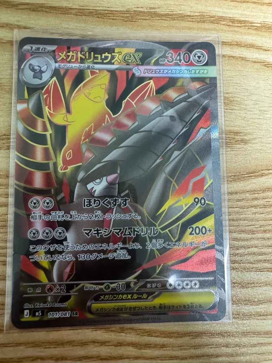포켓몬 카드 메가 몰드류 sr 일판