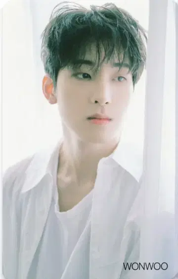 SEVENTEEN Attacca 원우 트레이딩 카드