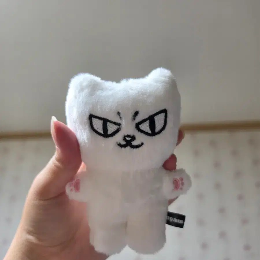 엔플라잉 차훈 먐미 양도합니다(생일엠디)