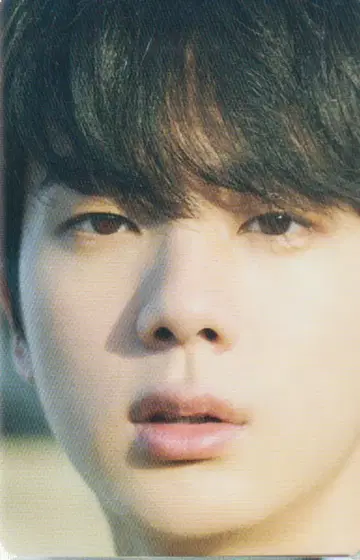 BTS D'/ICON JIN 트레이딩 카드 2/14