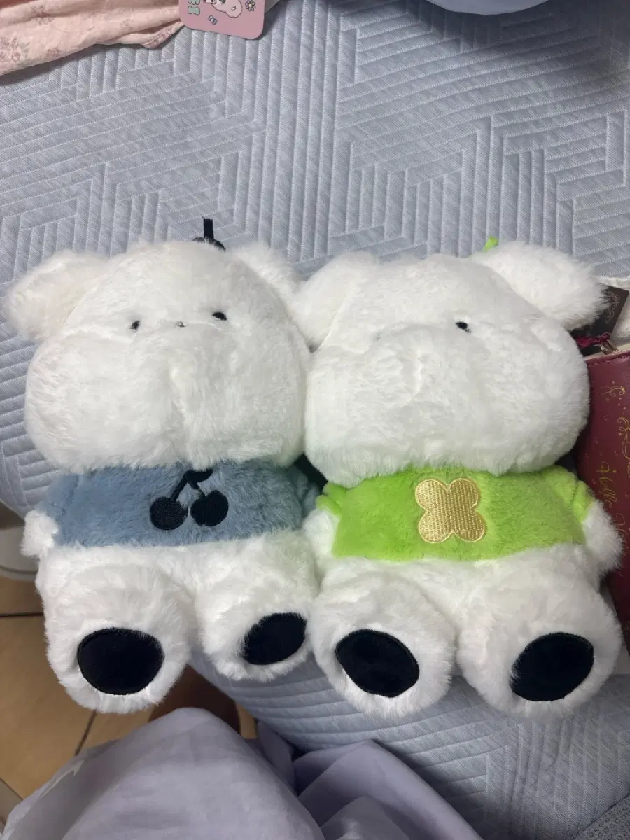 푹신한 곰돌이 인형 일괄