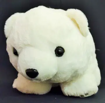 아뮤즈 마루곰 폴라 봉제 인형 폴라