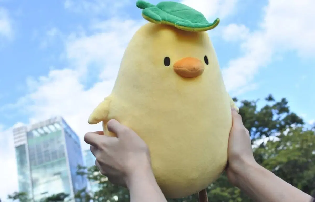젤리삐 인형
