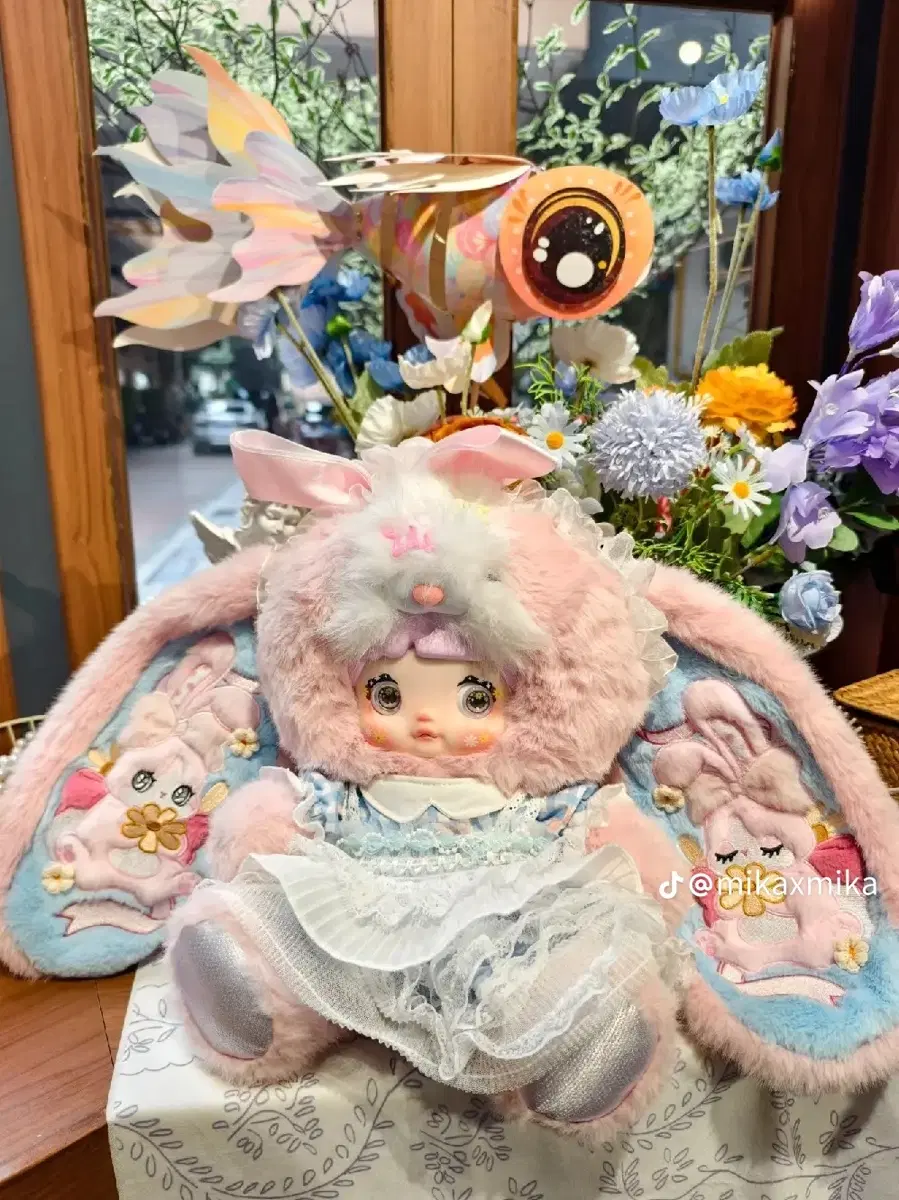 노미 데이지 한정판