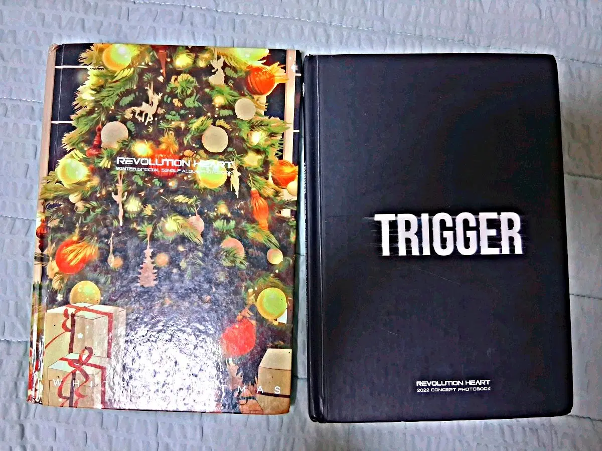 리레 레하 앨범 트리거,흰눈이 내려와