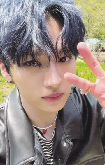 StrayKids MAXIDENT 리노 트레이딩 카드 핑크