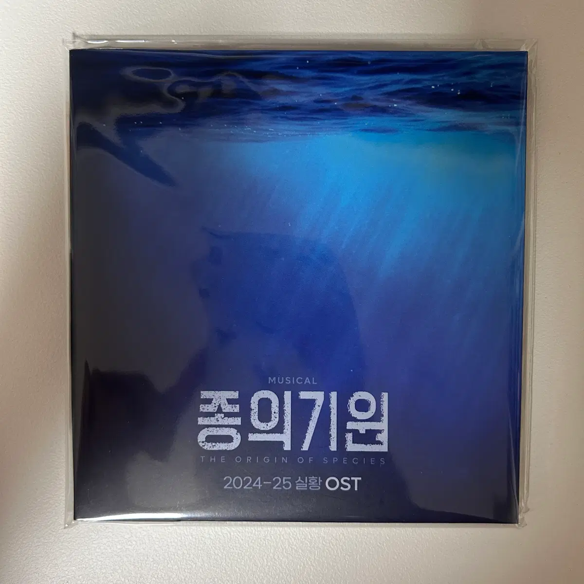 2024-2025 뮤지컬 종의기원 실황 OST 오슷 종기