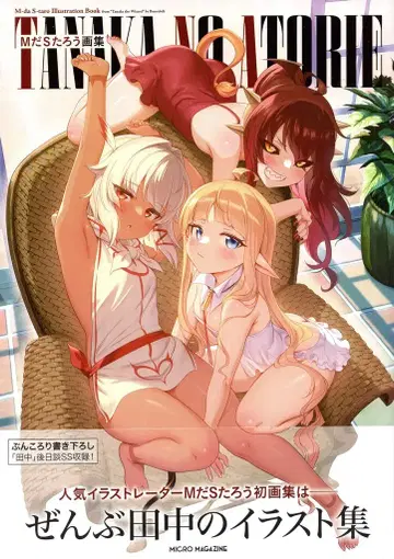 마이크로 매거진사 M다 S타로 M다 S타로 화집 TANAKA NO ATRIE (오비 포함)